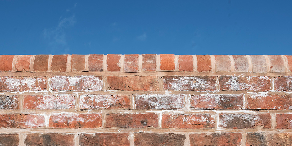 Brick wall finished with half round capping on top. The 3 courses of brickwork directly underneath the capping have efflorescence.