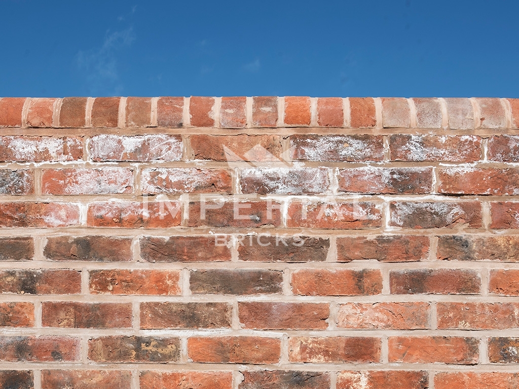 Brick wall finished with half round capping on top. The 3 courses of brickwork directly underneath the capping have efflorescence.