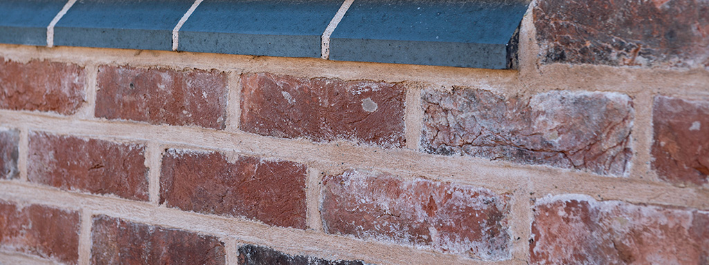 Close up of 3 courses of brickwork underneath a course of blue plinths. Some of the bricks have efflorescence on the faces.