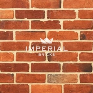 Regency Chesham Multi bricks shown in a wall. The bricks are a blend of orange and red with some over burns throughout.