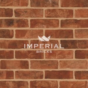 Regency Sovereign bricks shown in a wall.