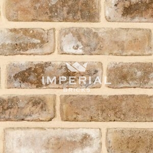 Musso Antique bricks shown in wall close up. The bricks feature yellow buff tones and a textured finish.