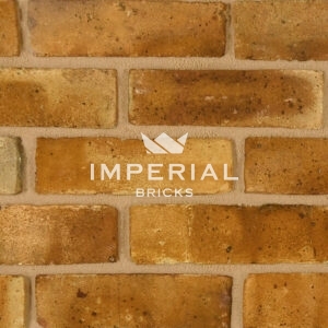Wealden Second Hard Stock bricks shown in a wall. Zoomed in to show the texture and detail.