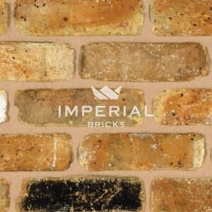 Westminster Salvage bricks shown in a wall. Zoomed in to show the texture and detail.