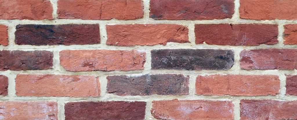 Photo of a brick wall taken in daylight. The bricks are red and have a cool tone mortar.