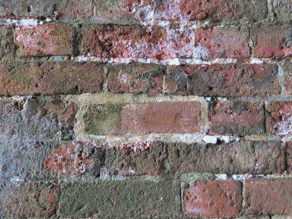 Close-up of an old brick wall with heavy spalling. A single central brick has been previously replaced with a mismatched brick, but the surrounding bricks continue to flake and crumble, showing the underlying moisture problem was never resolved.