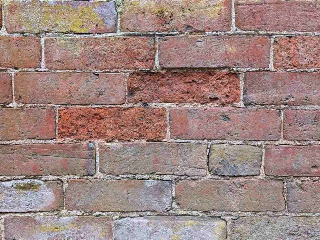 Close-up of an old garden wall where two central bricks have spalled faces. The mortar above one brick has started breaking away, leaving the underside of the brick in the above course exposed and vulnerable to water ingress. This demonstrates how brick spalling gradually spreads if not addressed.