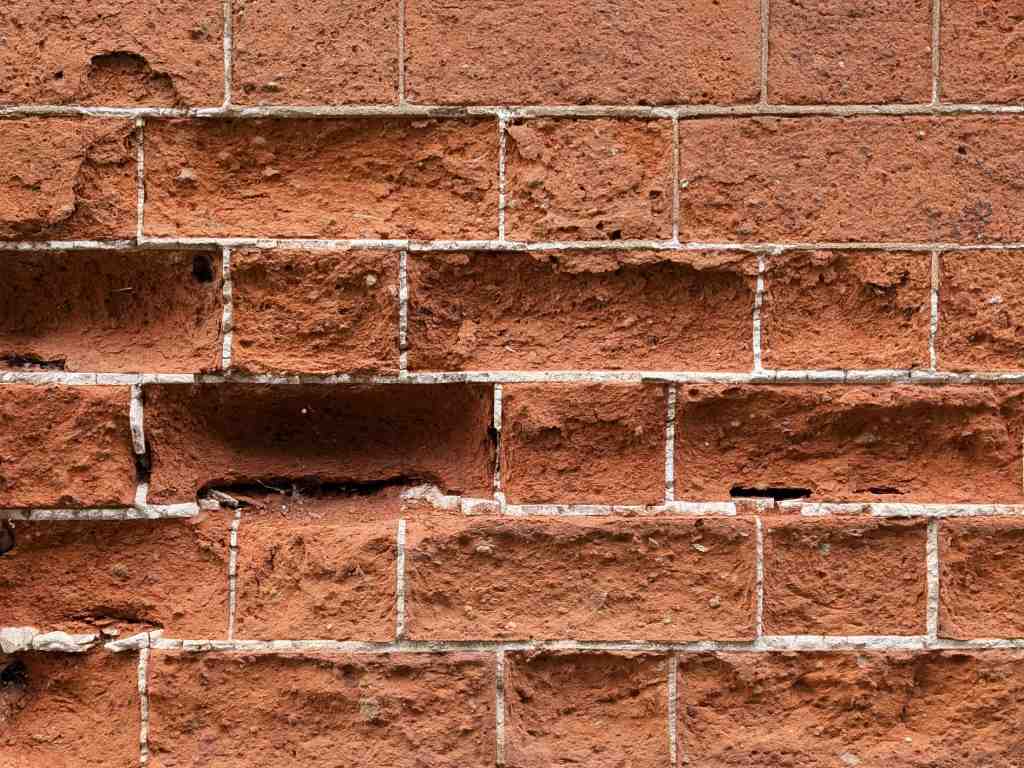 Severe brick spalling in an extruded wall. There are six courses of Flemish bond brickwork, varying from the outer layer of the brick face crumbling, to large chunks broken away and an entirely hollowed brick with a hole at the bottom exposing the cavity behind. This image demonstrates how severely 'blown' bricks can deteriorate to cause damp issues and eventually compromise the wall structure.